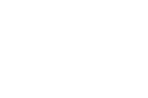 Wild Rift